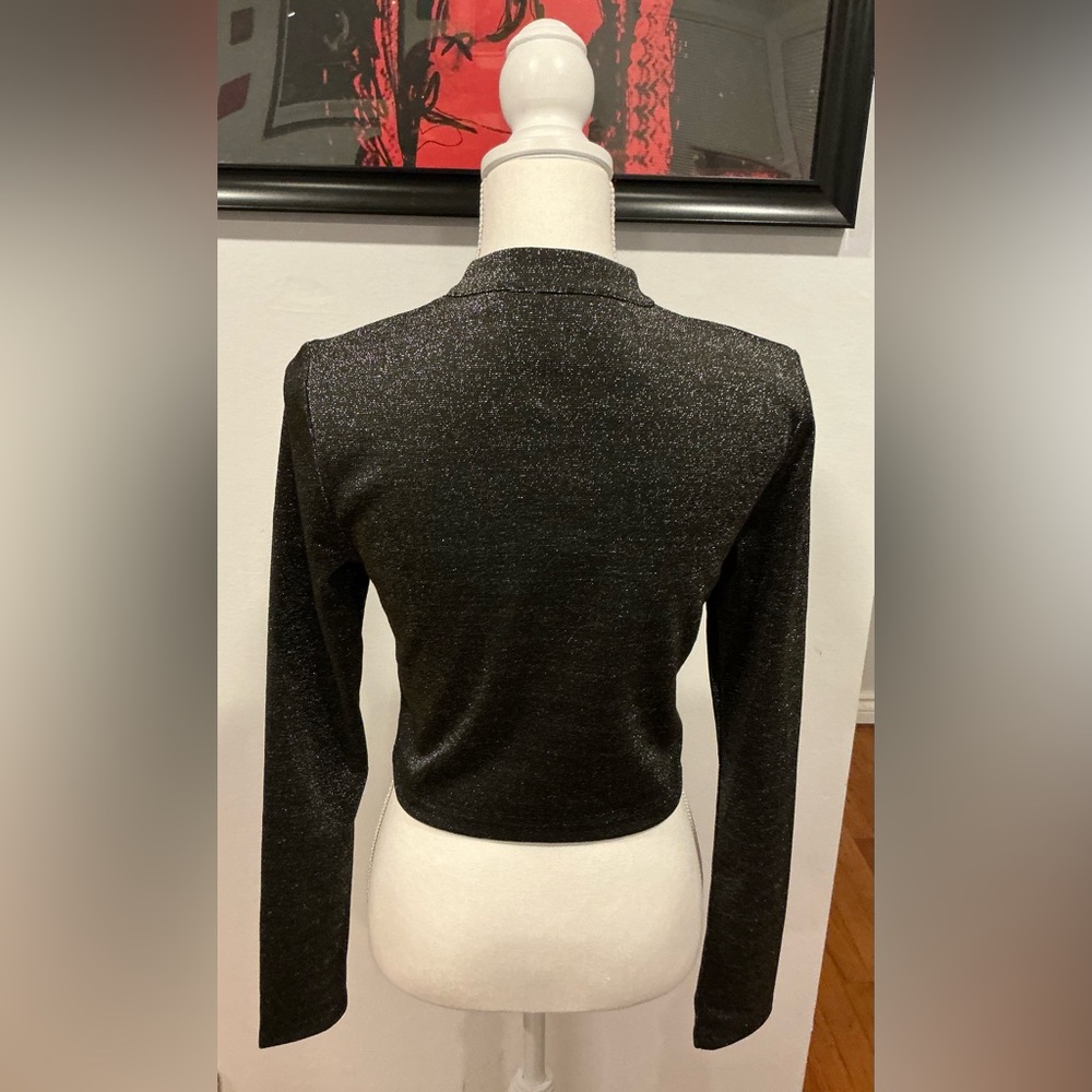 Shimmer Silver Cropped Blouse - Picture 3 of 4